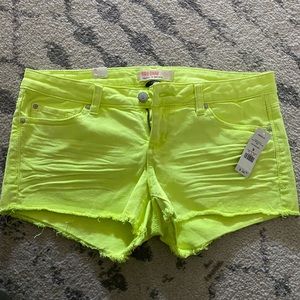 Ladies shorts